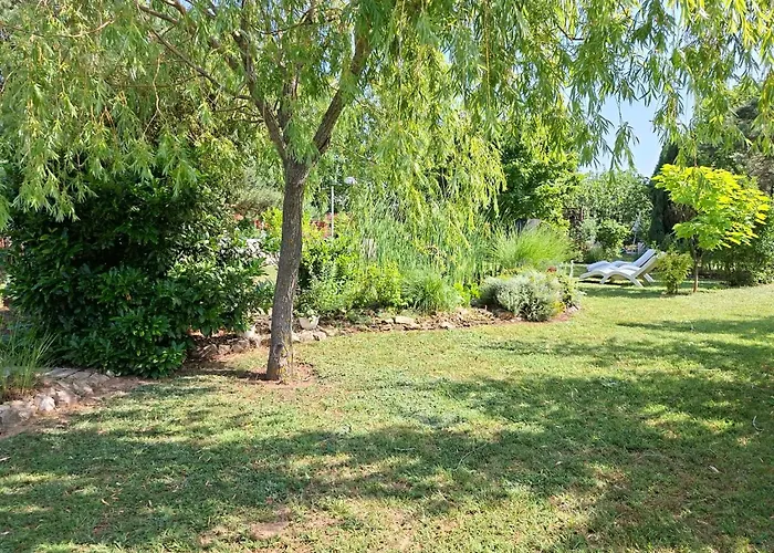 Sunfish Apartament